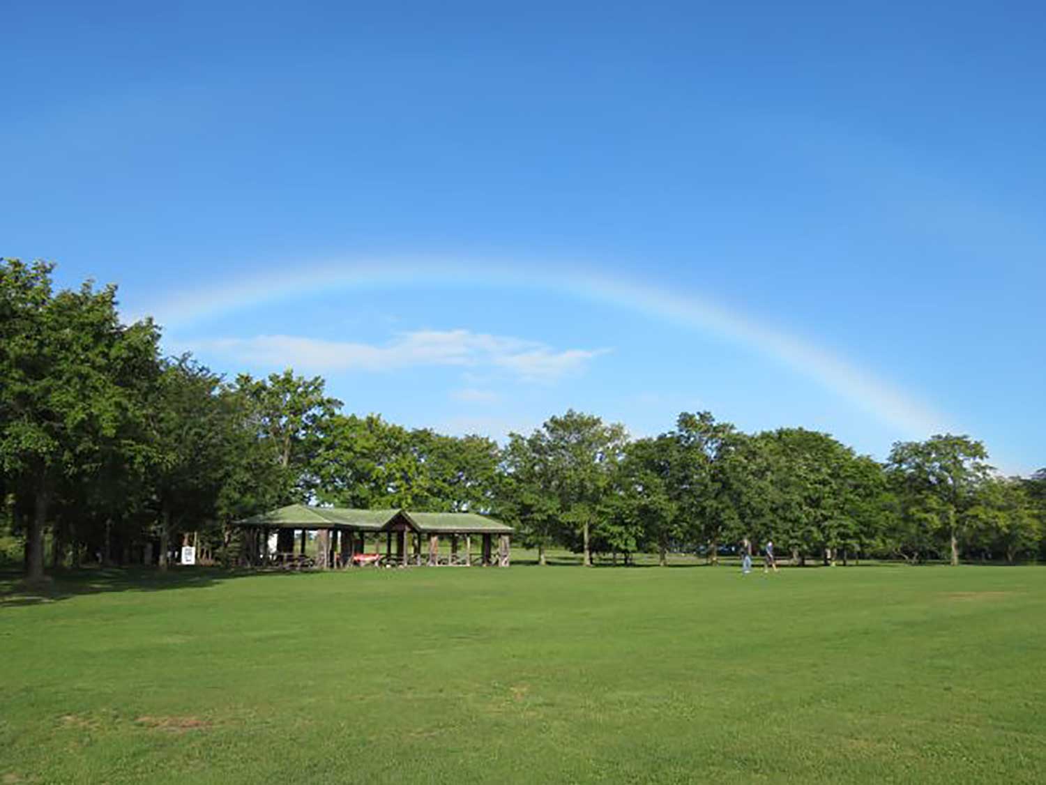 百合が原公園