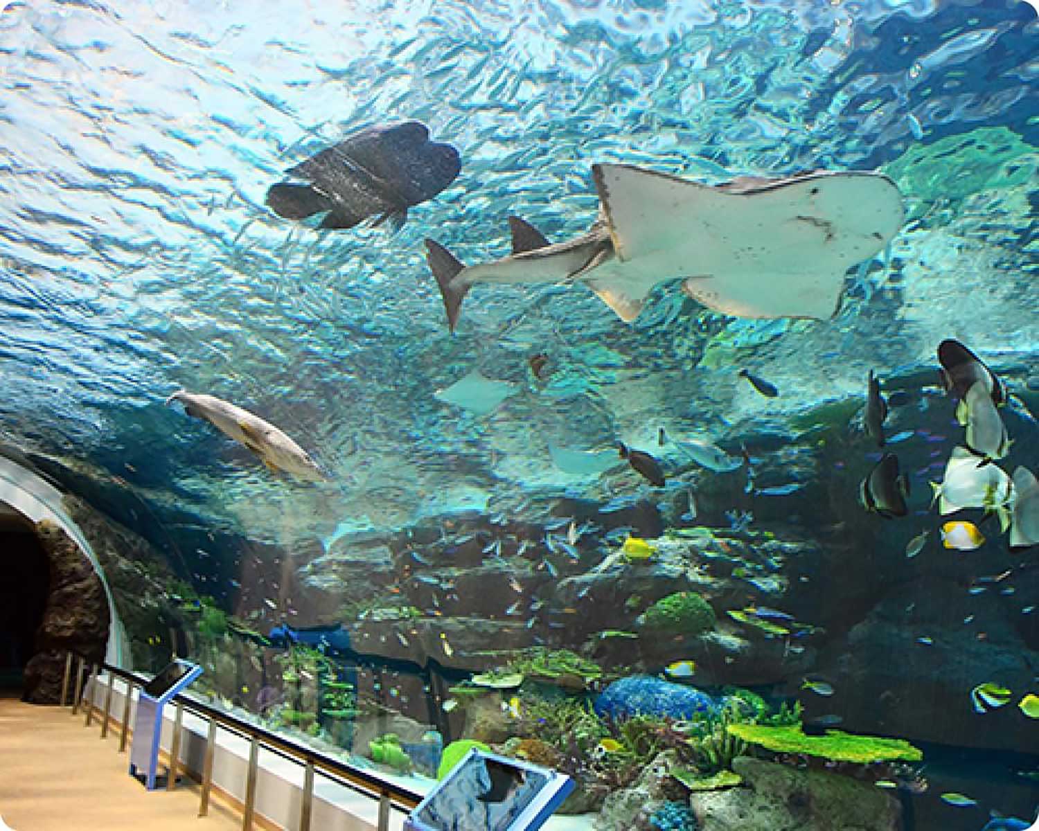 名古屋港水族館