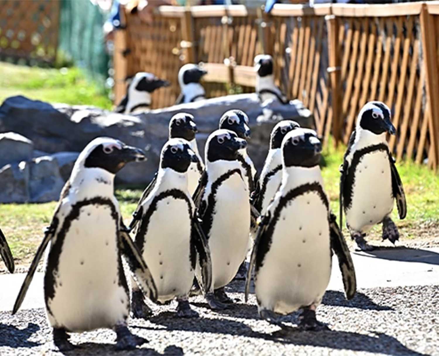 名古屋港水族館