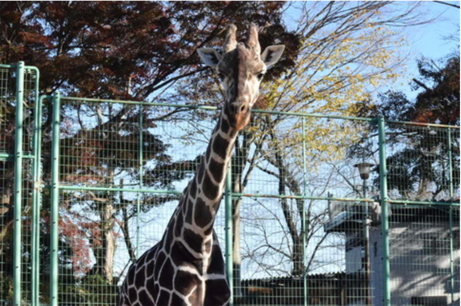 桐生が岡動物園