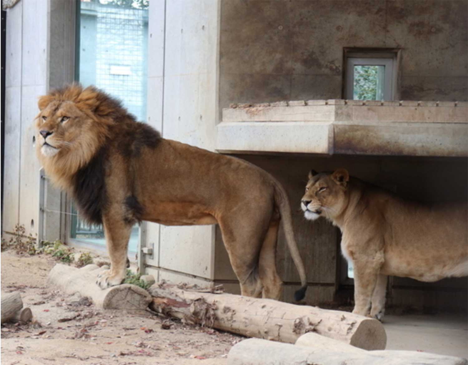 桐生が岡動物園