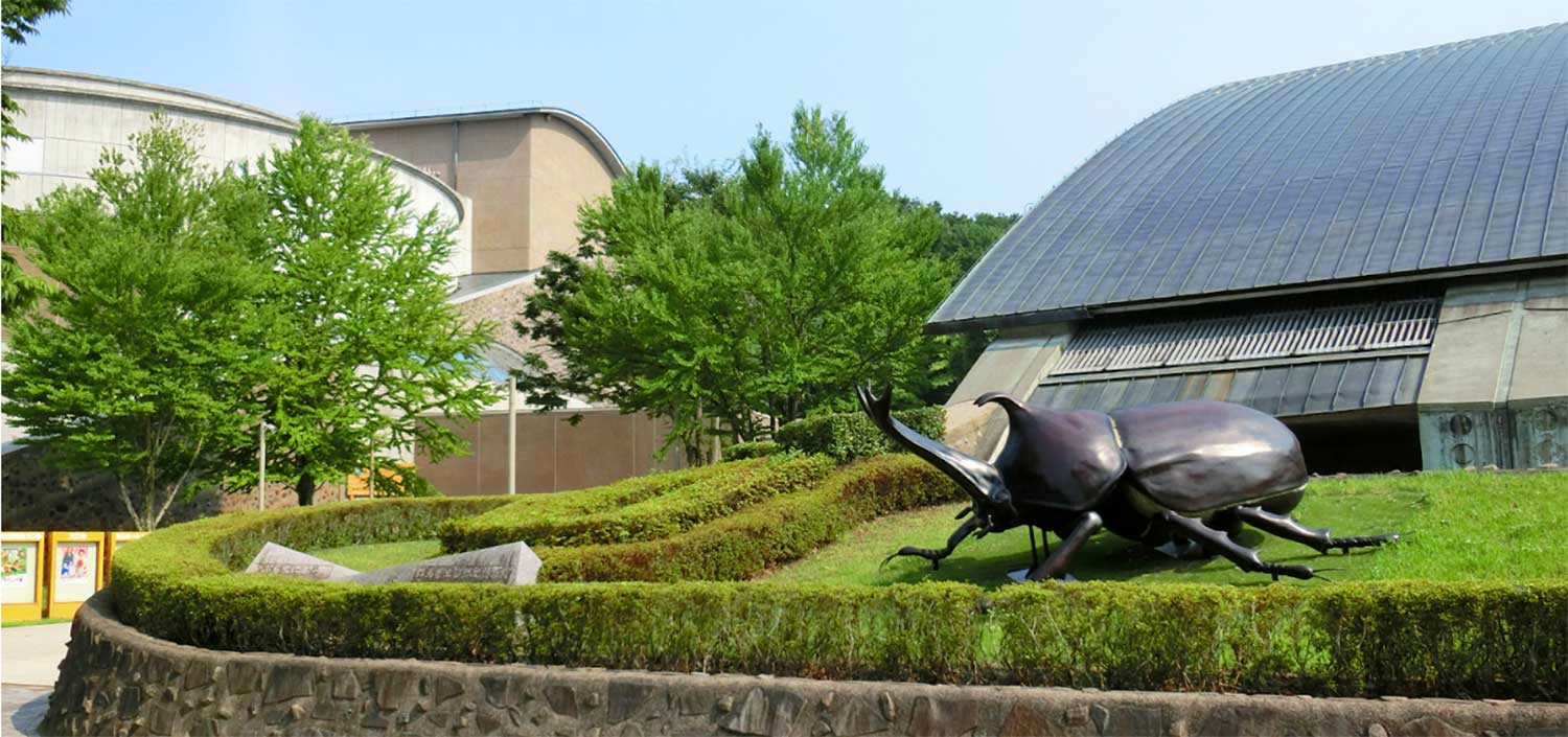 群馬県立自然史博物館