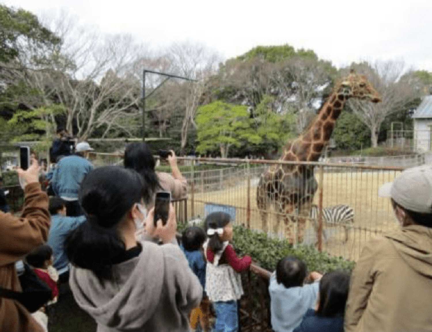 浜松市動物園