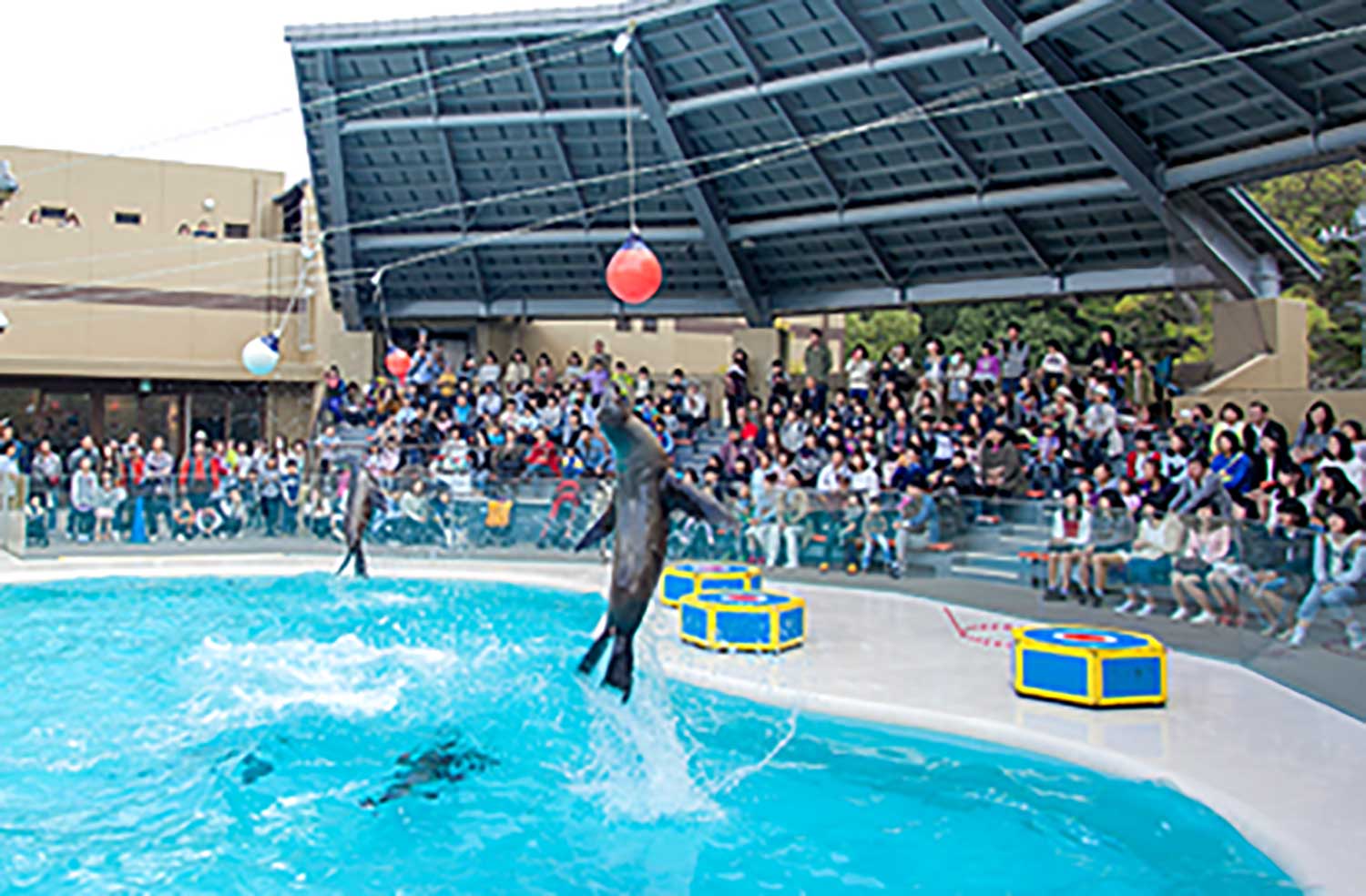 宮島水族館