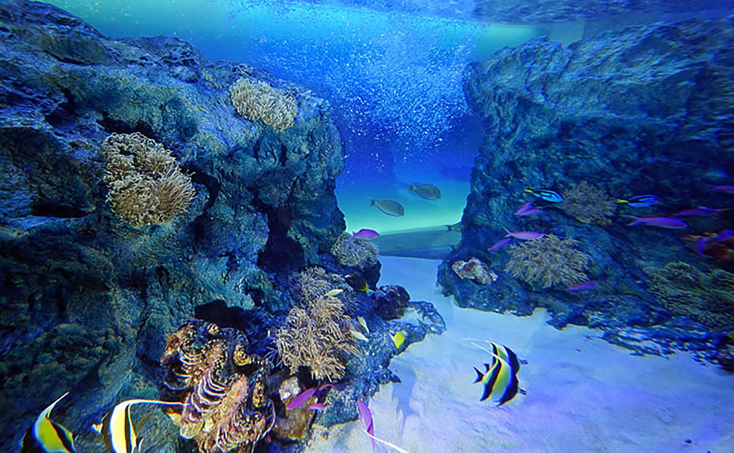 マリホ水族館