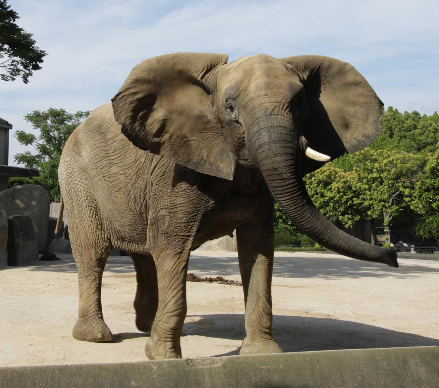 広島市安佐動物公園