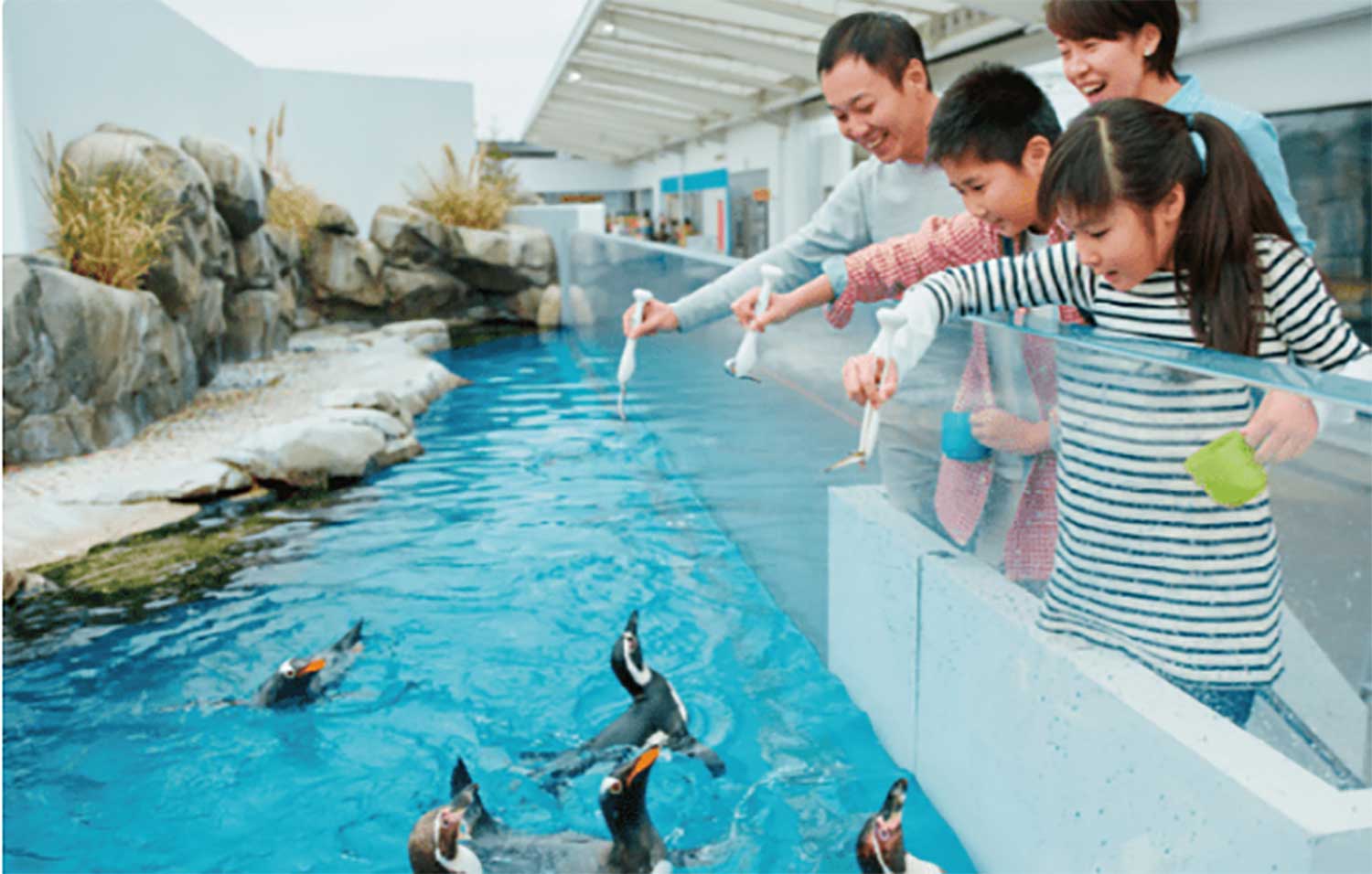 仙台うみの杜水族館