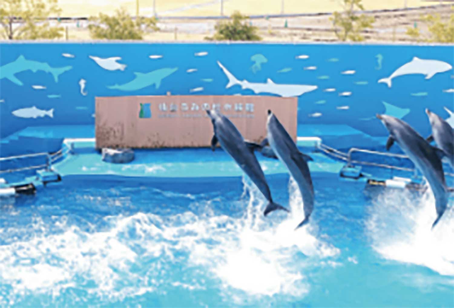 仙台うみの杜水族館