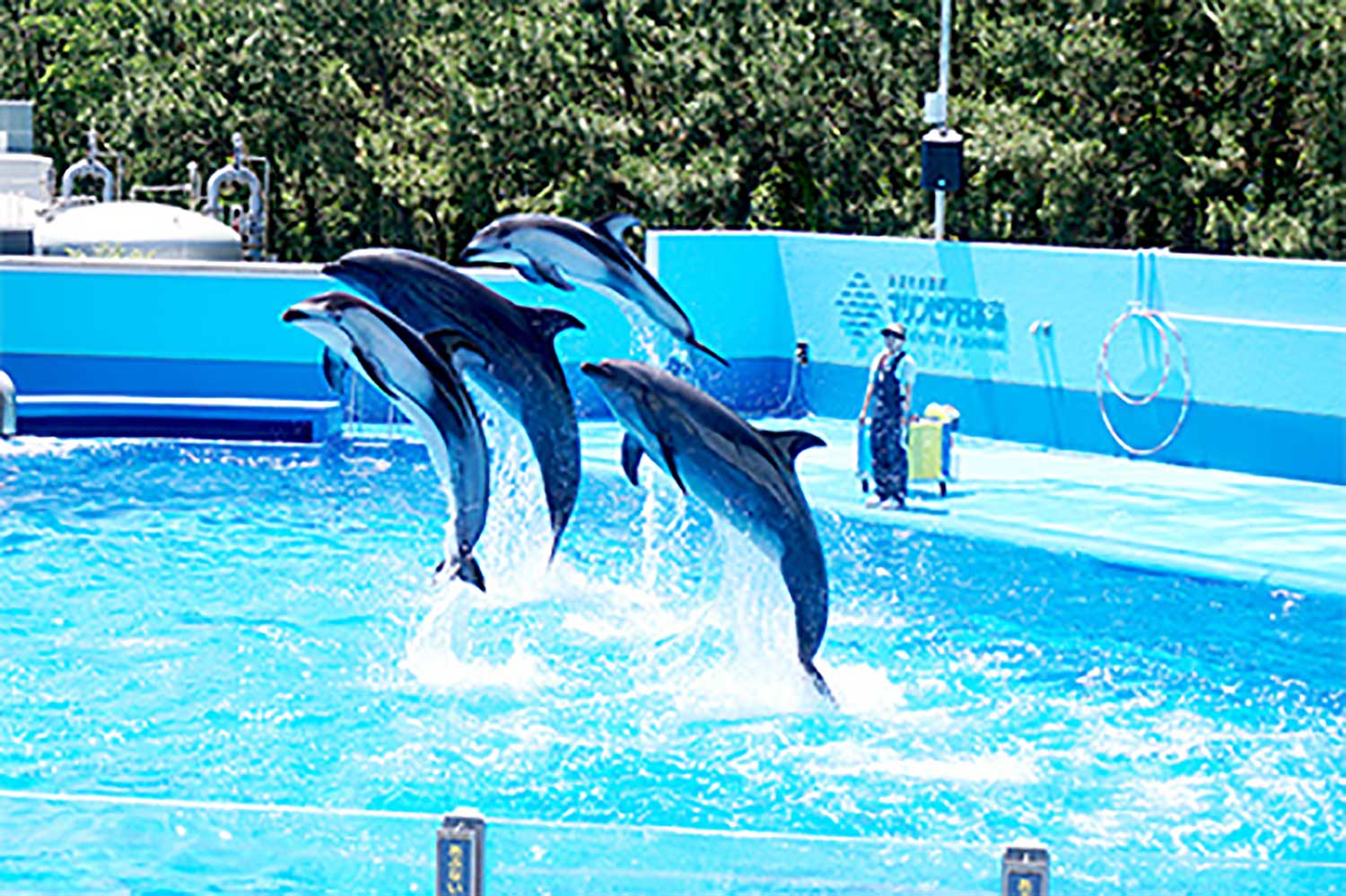 新潟市水族館マリンピア日本海