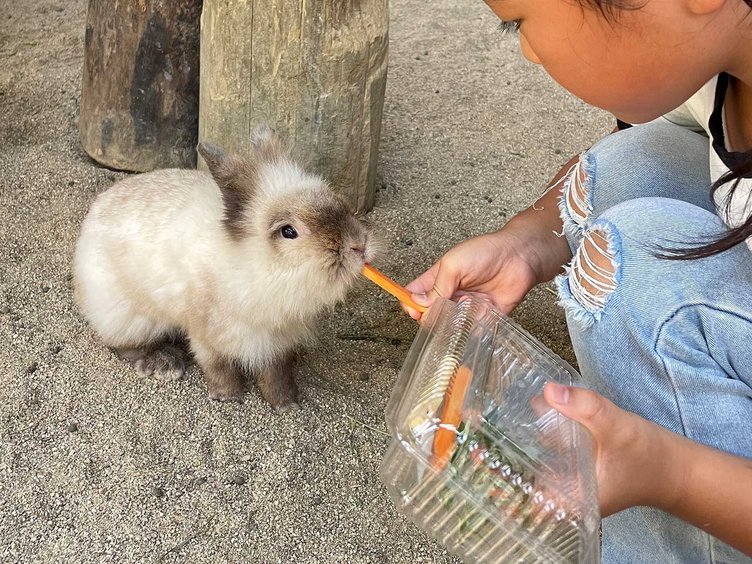 渋川動物公園