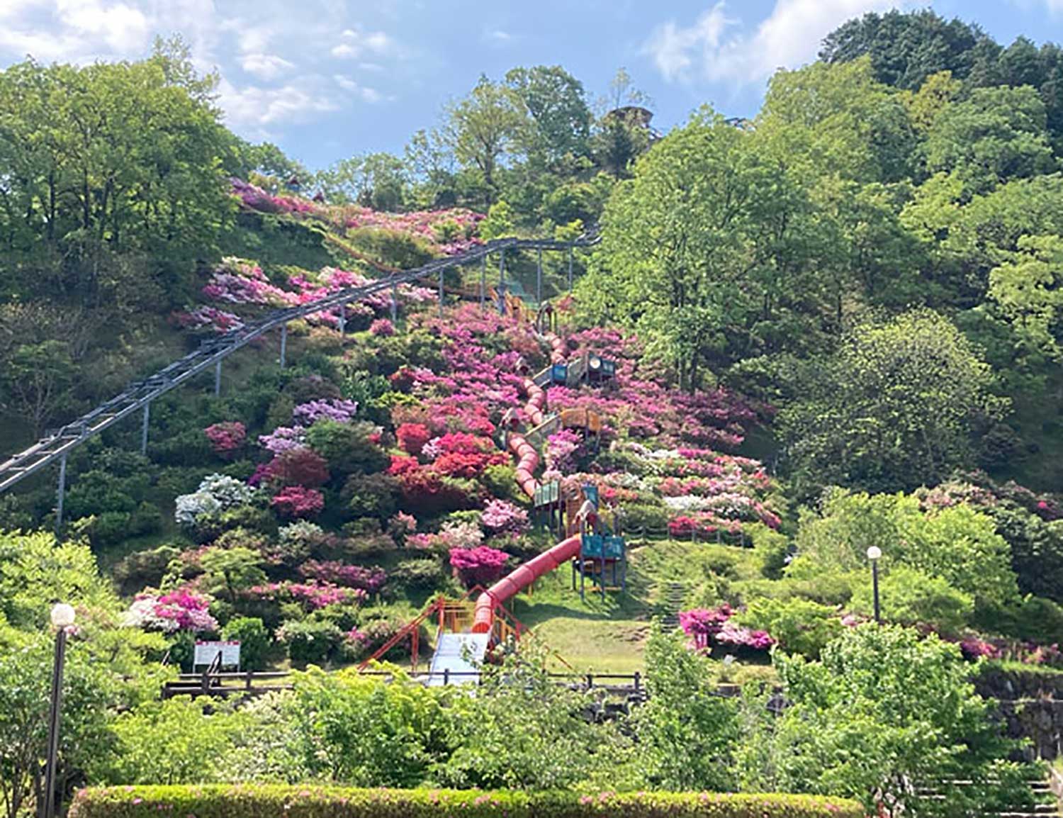 高取山公園