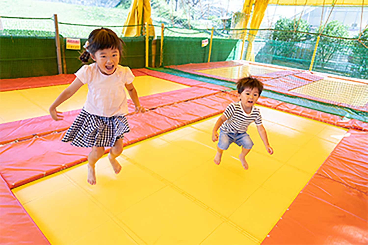 森とリスの遊園地