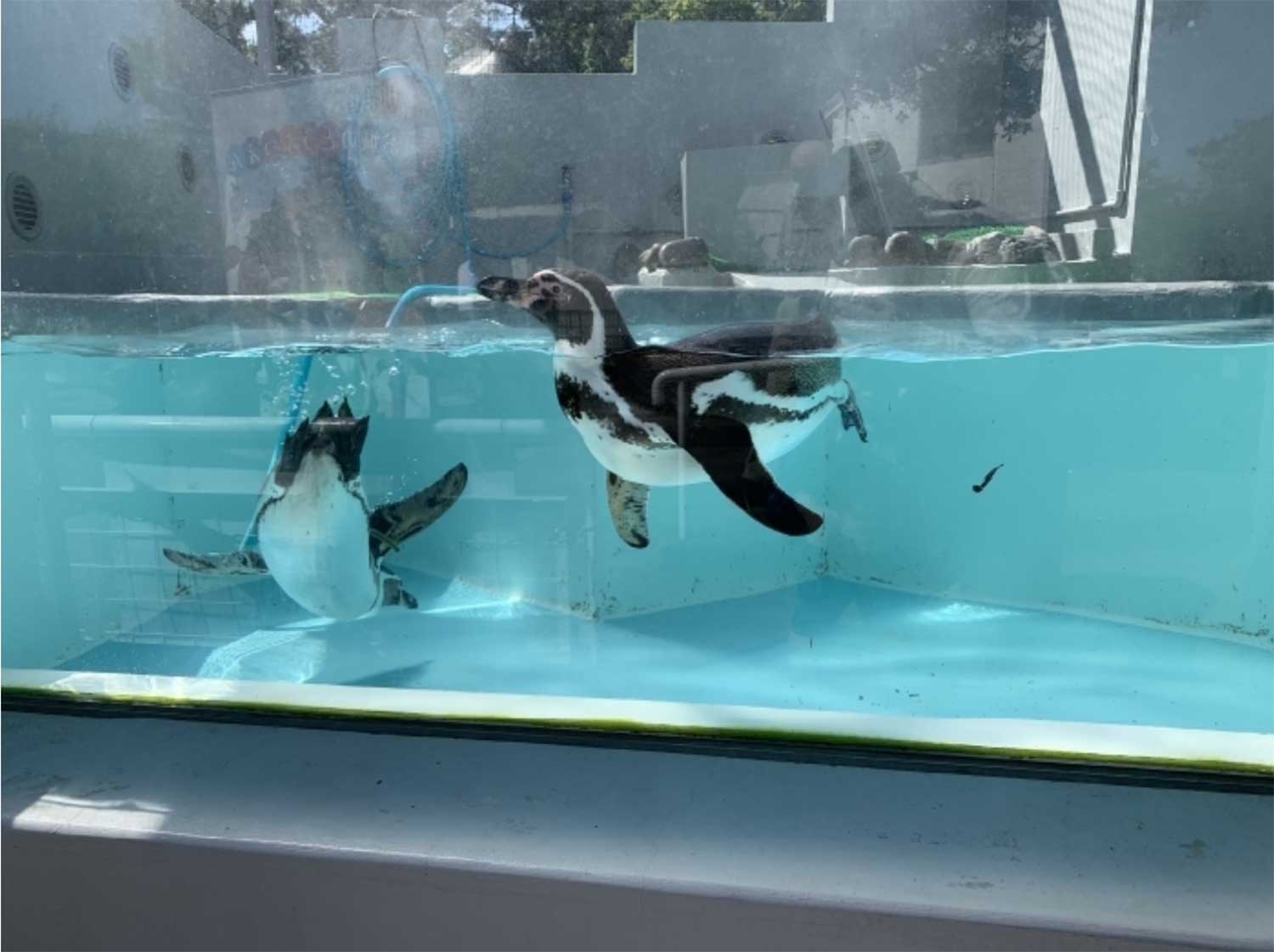 和歌山城公園動物園