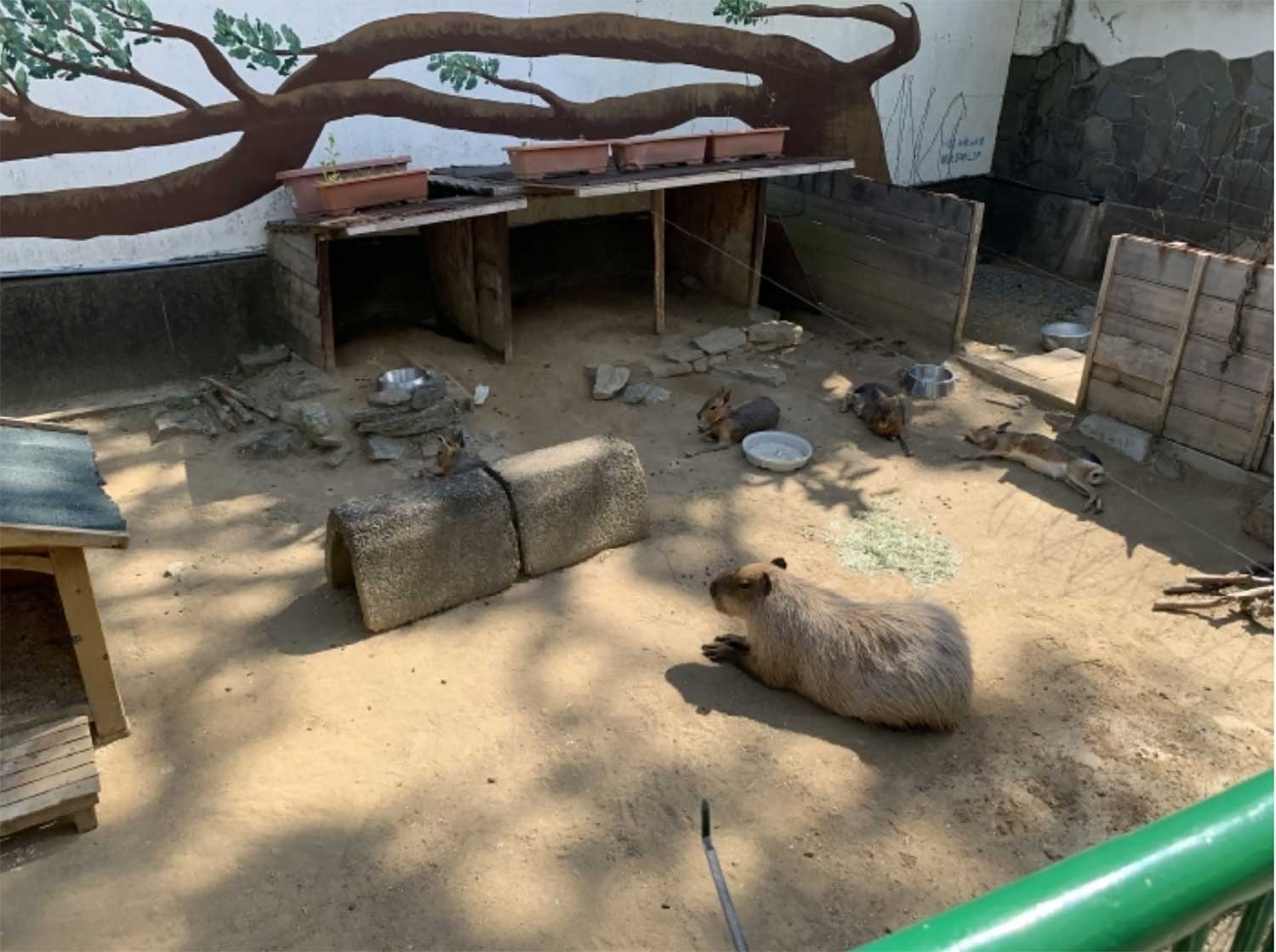 和歌山城公園動物園