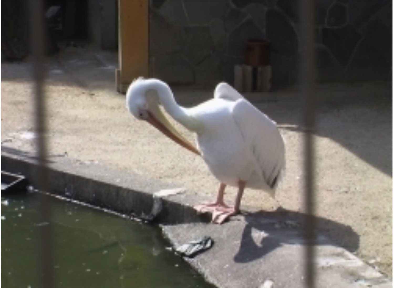 和歌山城公園動物園