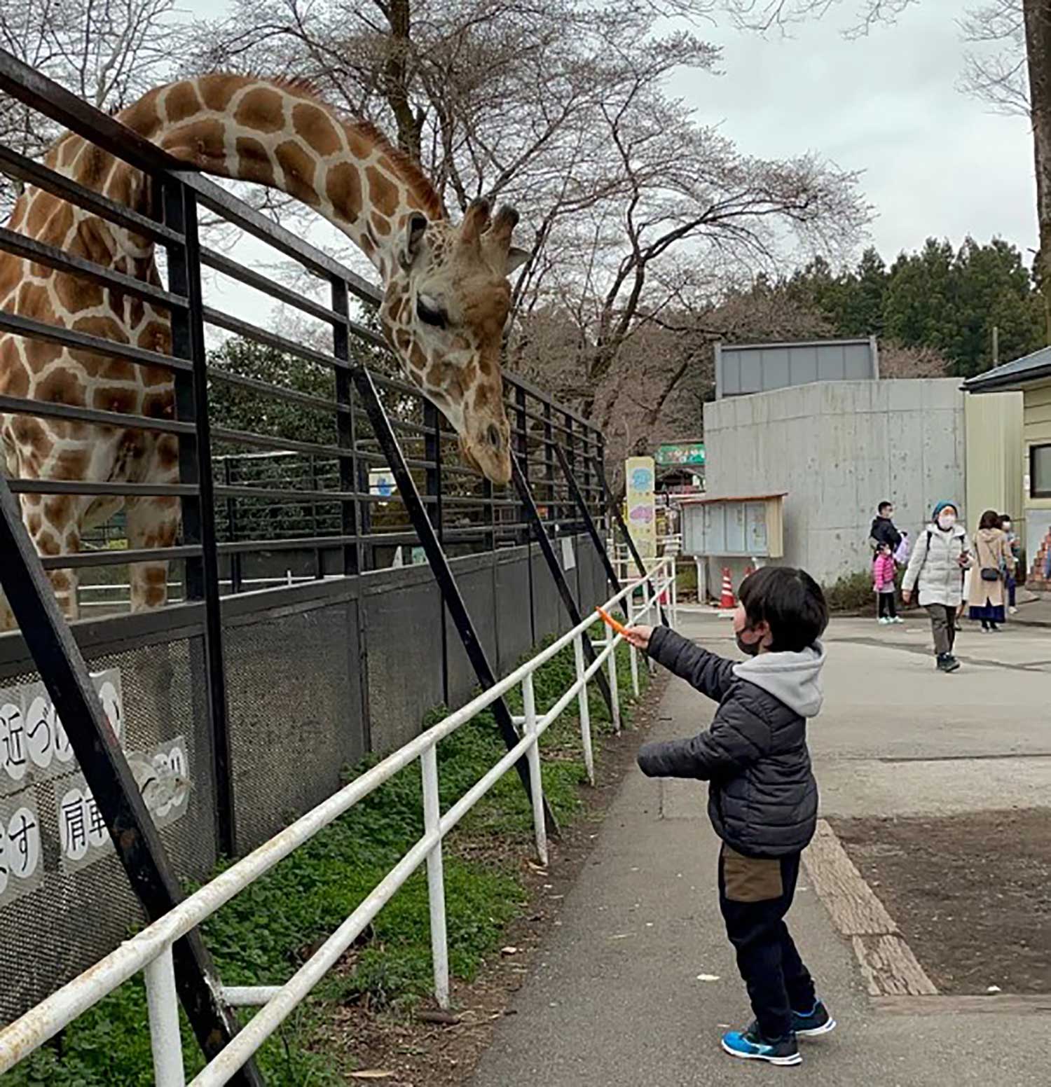 宇都宮動物園