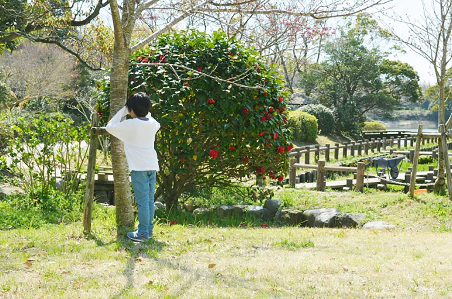 だるまさんの1日