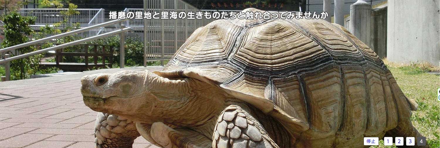 姫路市立水族館
