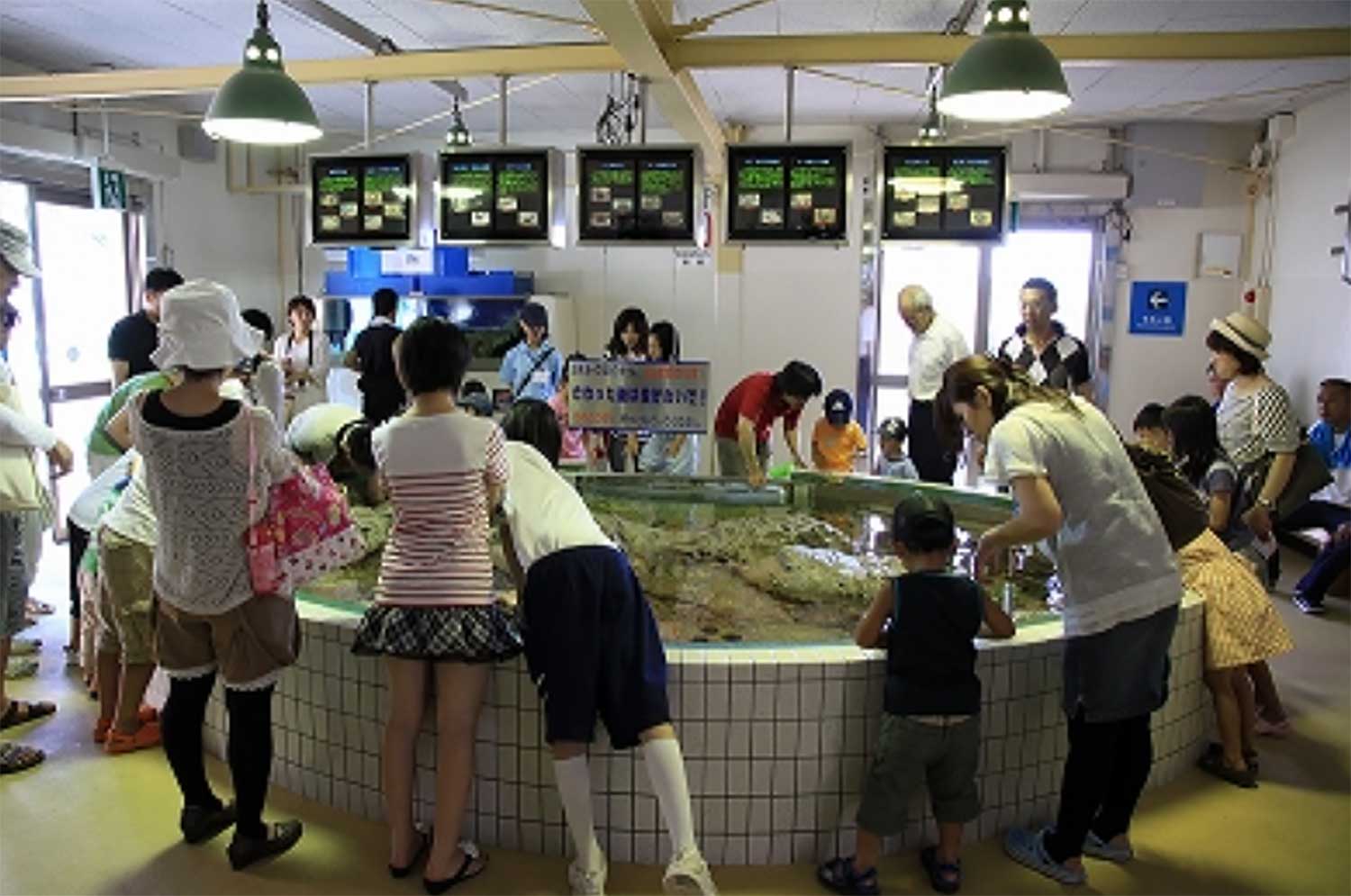 姫路市立水族館