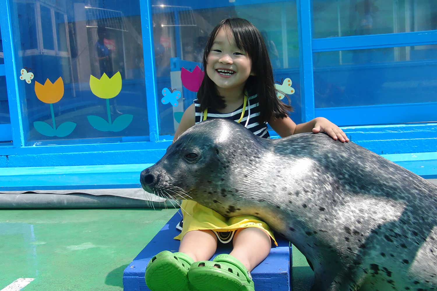 伊勢シーパラダイス