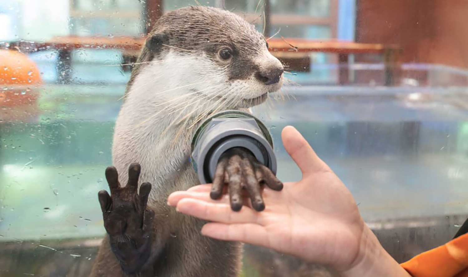 伊勢シーパラダイス