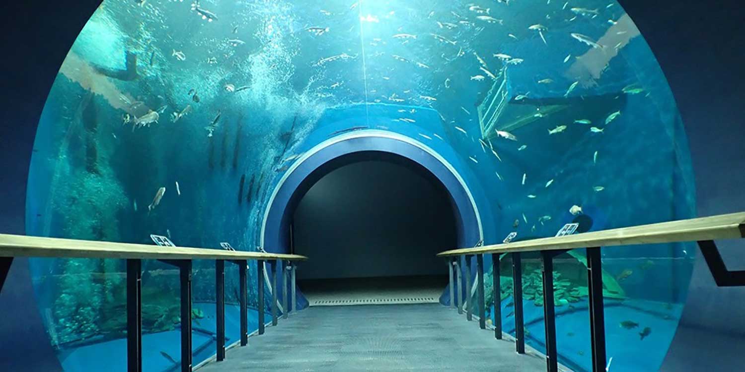 滋賀県立琵琶湖博物館