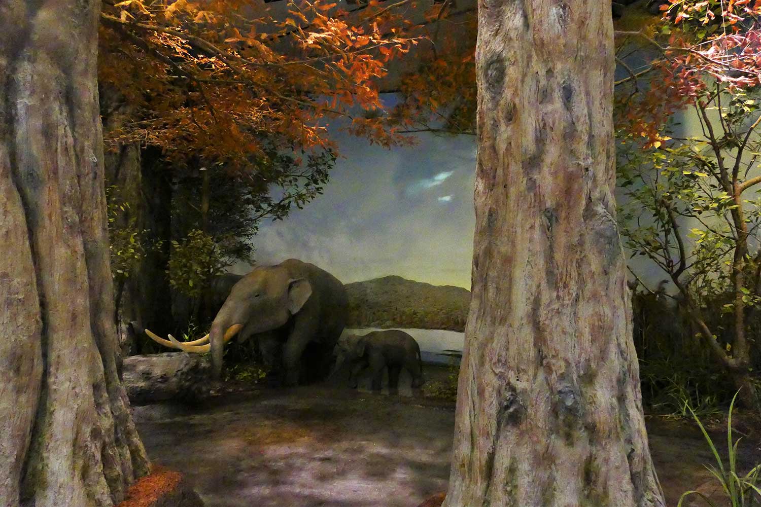 滋賀県立琵琶湖博物館